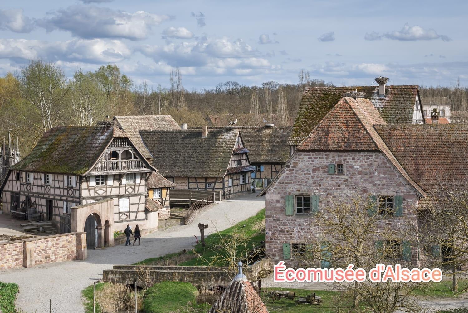 Entre Ville Et Vignes - Gite Classe 3 Etoiles Ingersheim Exteriör bild
