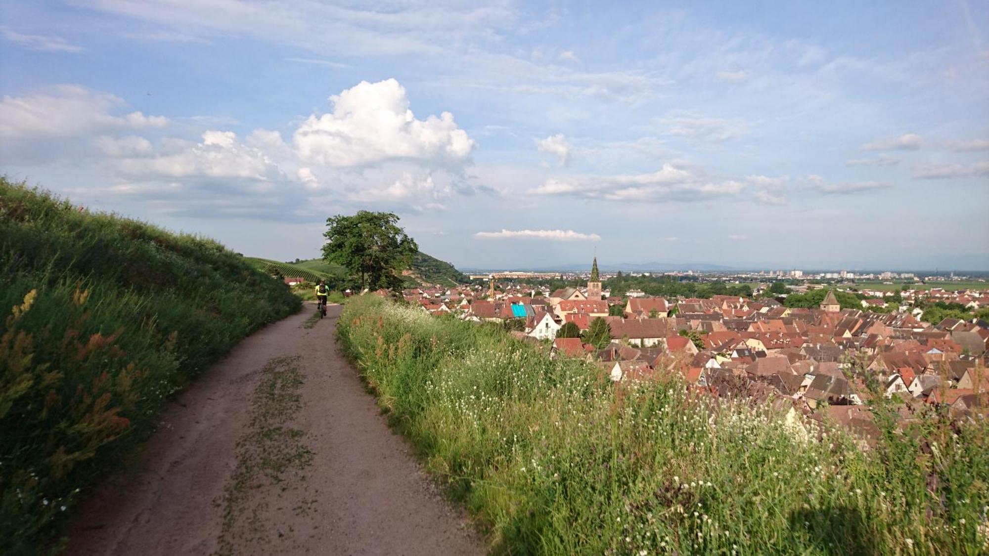 Entre Ville Et Vignes - Gite Classe 3 Etoiles Ingersheim Exteriör bild